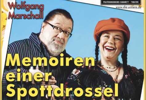 plakat von memoiren einer spottdrossel 2025